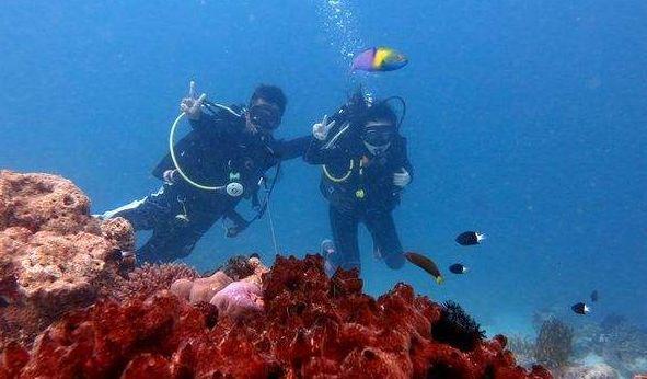 海贼王伟大冒险
